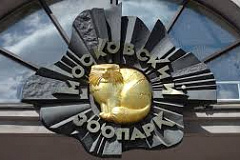 Московский зоопарк вновь распахнул двери в павильоны «Ночной мир» и «Птицы и бабочки»