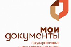 В центре "Мои документы" можно получить услуги, оказываемые ГИБДД