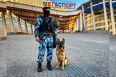 Московские росгвардейцы обеспечили правопорядок на хоккейном матче КХЛ